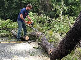 Mulching Services in Metzger, OR